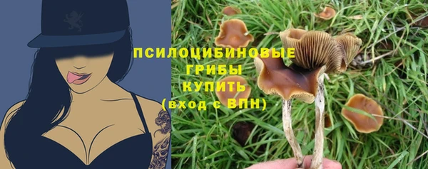 меф Армянск