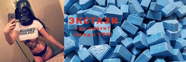 индика Саяногорск