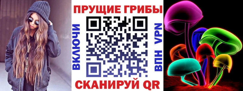 Галлюциногенные грибы Psilocybine cubensis  Аша 
