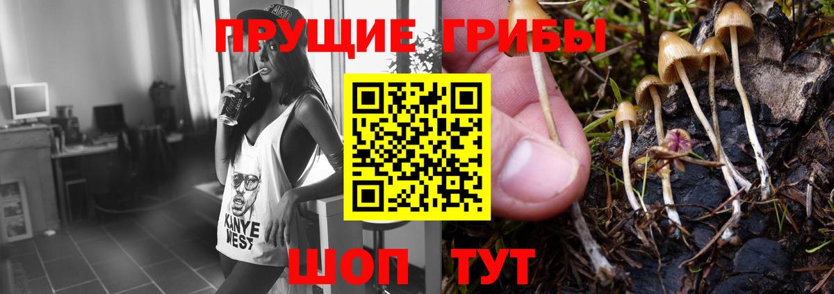 Галлюциногенные грибы Cubensis  Вход с VPN  Аша 