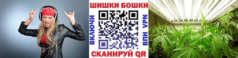 Каннабис гибрид  Аша 